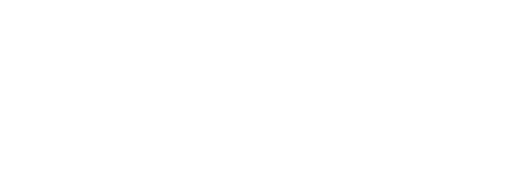 Portis Logo